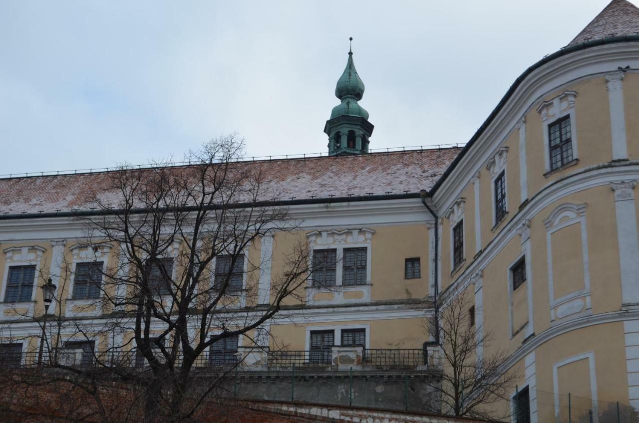 Penzion U Zabaka Mikulov Exterior photo